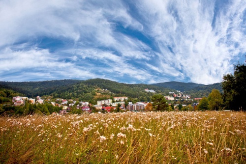 Okolica